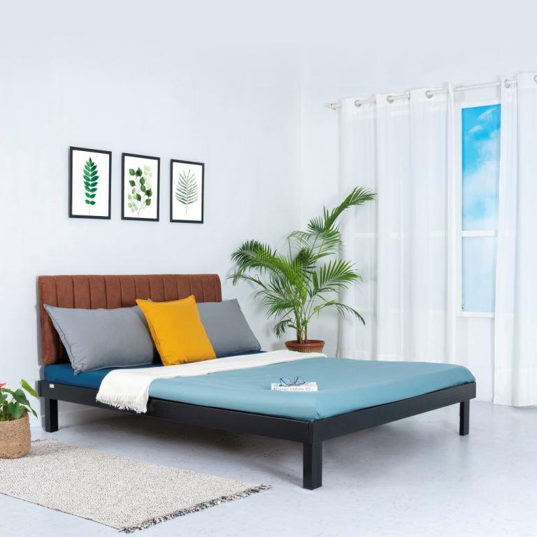 Platform Bed - Jessica Cappuccino Metal Double Bed without Mattress - RentalFurniture.in